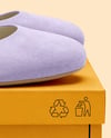 Pair of Suede Ballet Flats with Box Mockup