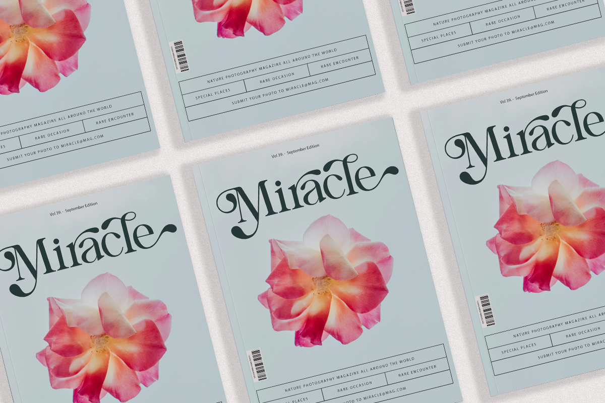 Blue Mirage - Modern Serif Font