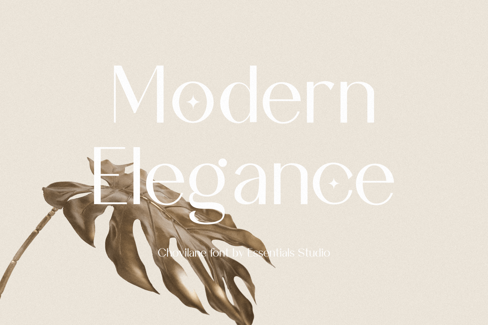 Chovilane Signature Austine - Duo Font, Sans and Signature Font