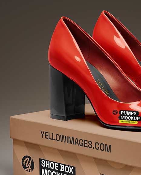 Block Heel Pumps with Shoe Box Mockup