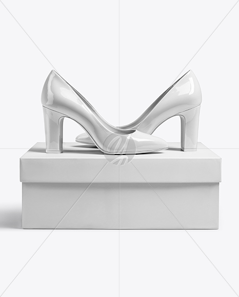 Block Heel Pumps with Shoe Box Mockup