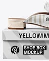Mule on Shoe Box Mockup