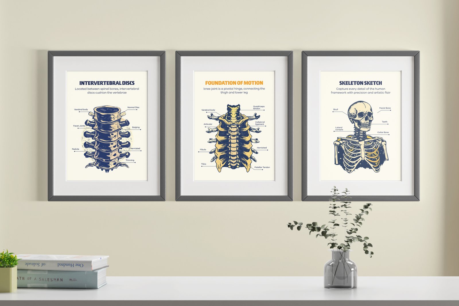 Vintage Medical illustrations