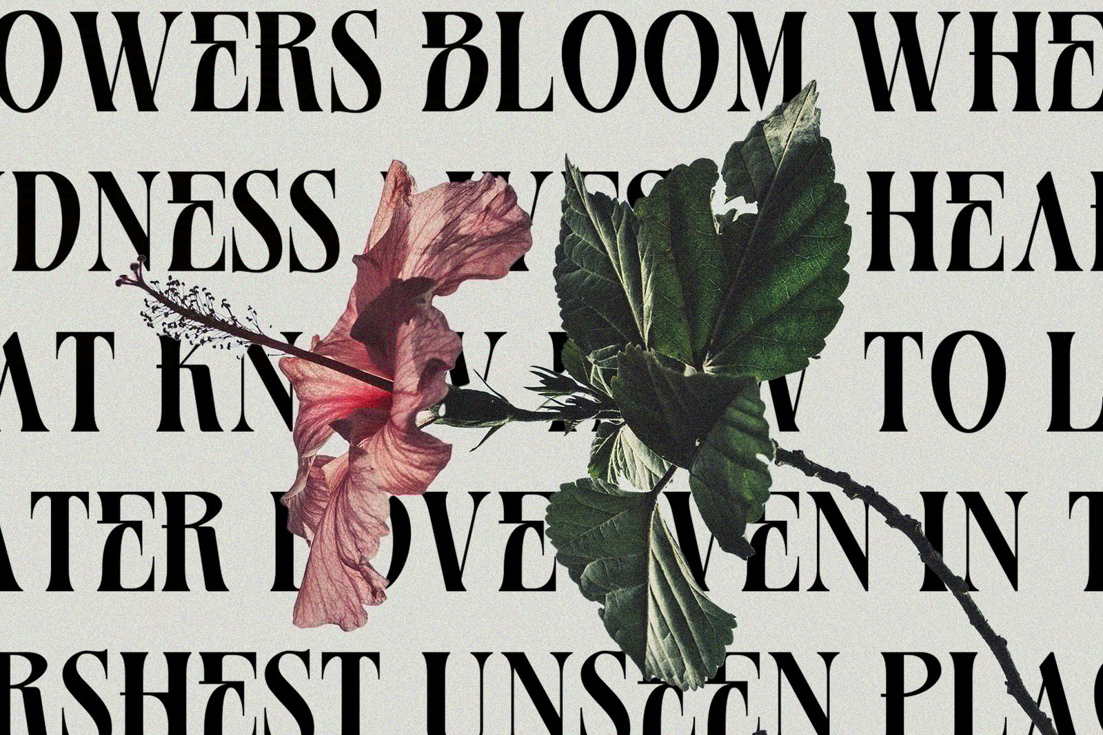 Basurist - Unique Modern Serif Bold