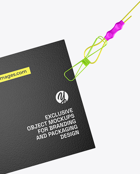 Business Card Mockup