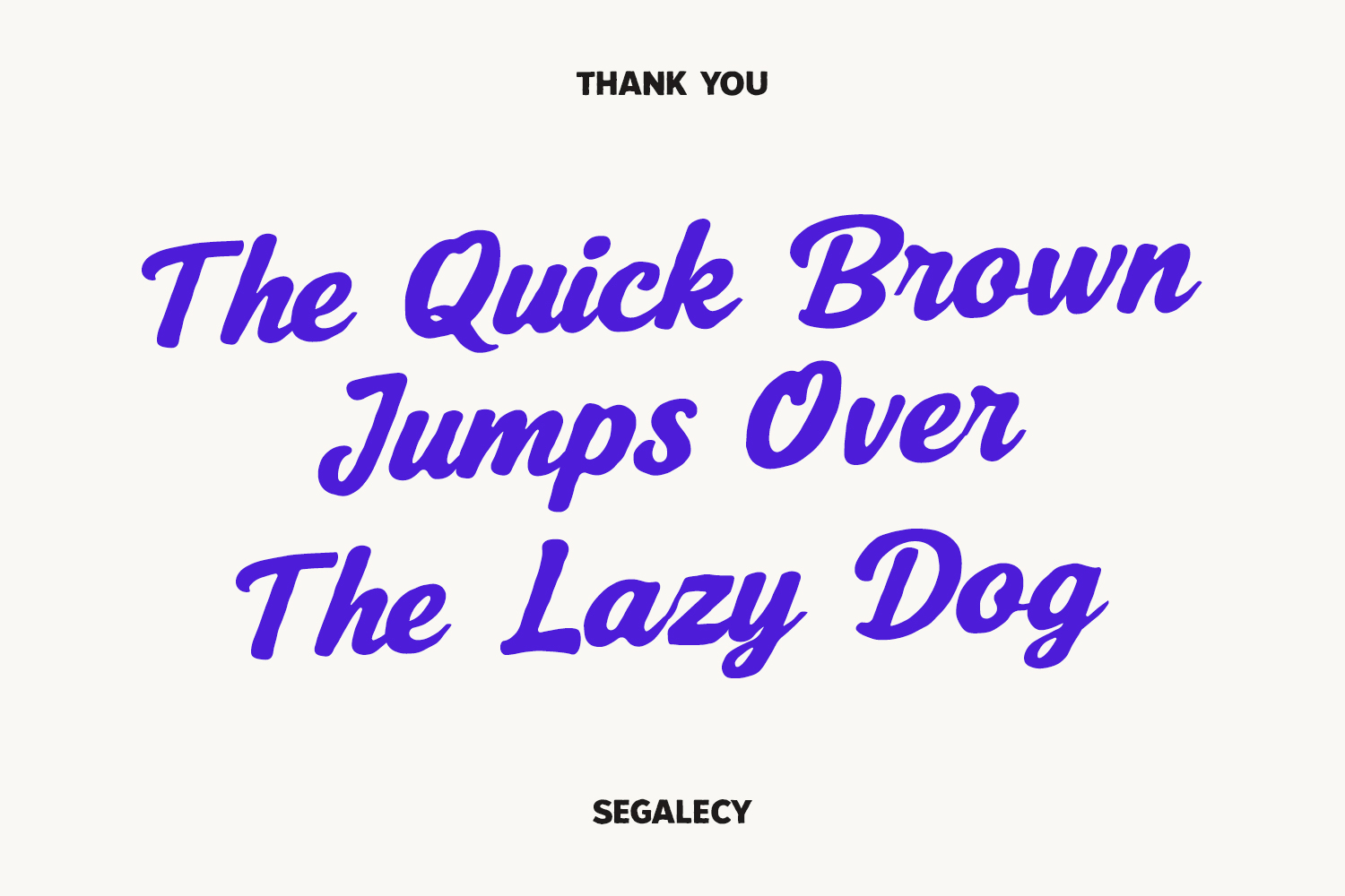 Segalecy Retro Vintage Font Duo Script Sans