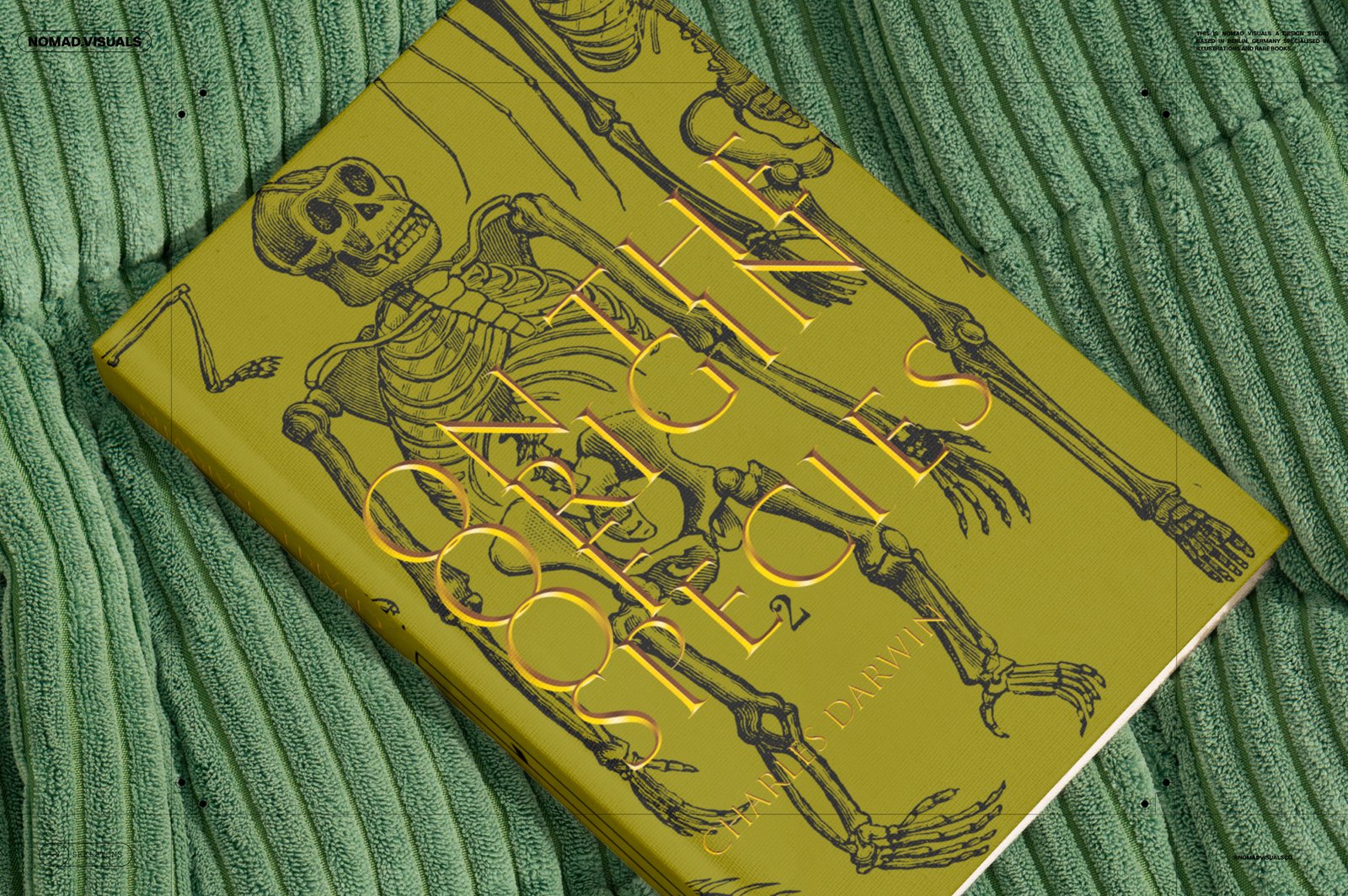 Skeletons &amp; Bones – 30 Antique Illustrations