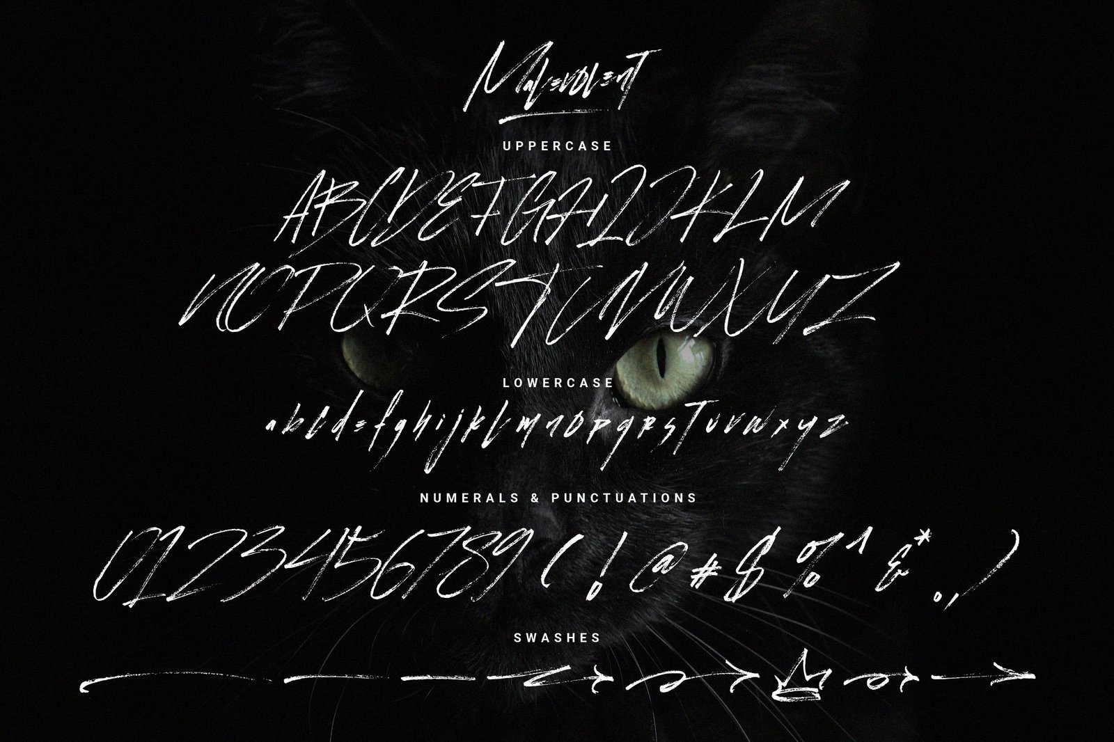 Malevolent Brush | Handwritten Brush Font