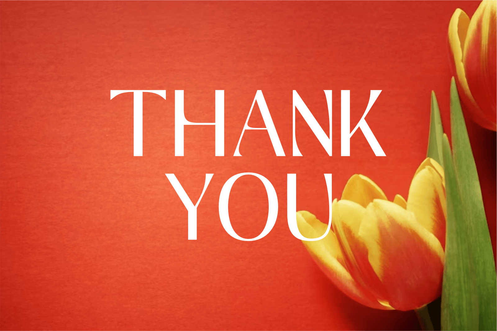 Mosffets - Modern Display Typeface