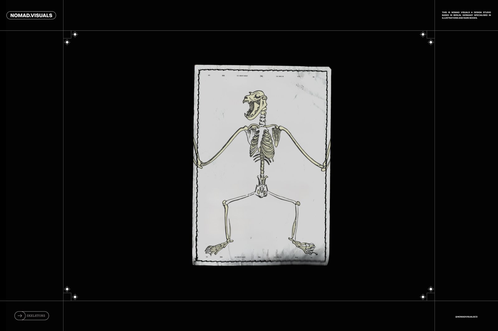 Skeletons &amp; Bones – 30 Antique Illustrations