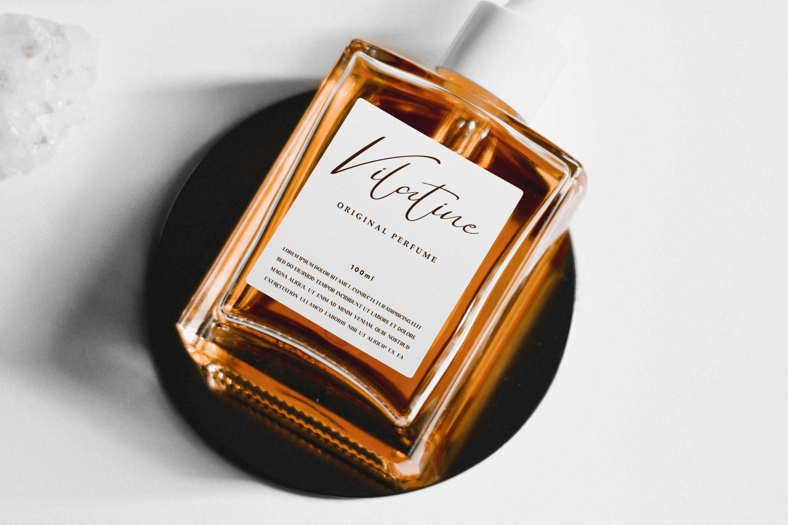 Daylight Welington - Elegant Script Font