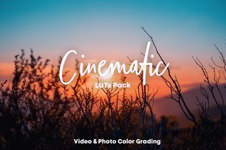 Cinematic Luts - Colour Grading for Photos and Videos - Add-Ons