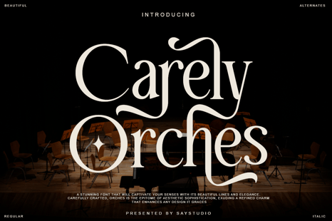 Carely Orches - Classy Serif Font - Magazine font
