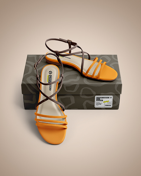 Pair of Strappy Sandals With Box Mockup