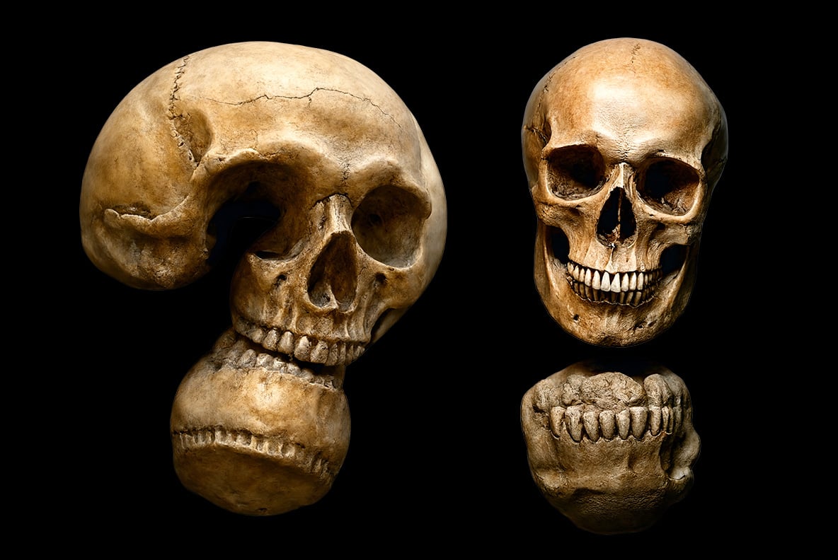 Skull Font