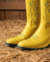 Pair of Women's Cowboy Boots Mockup