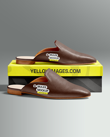 Pair of Mules with Shoe Box Mockup