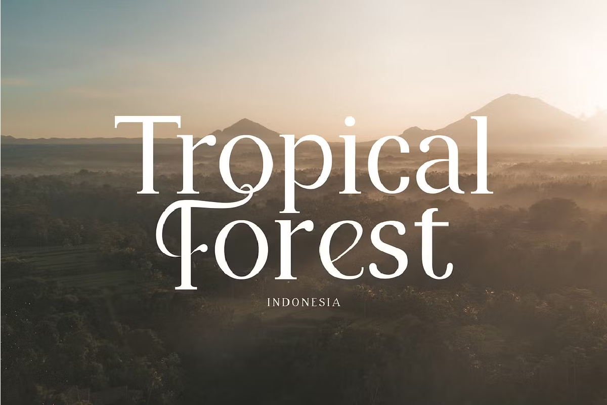 Brighton Font