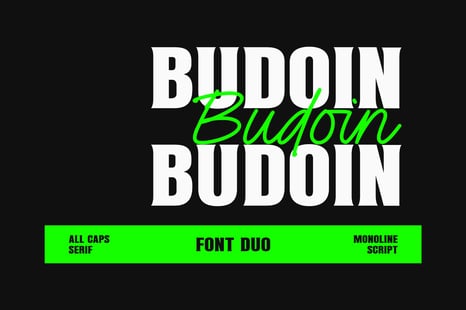Budoin - Font Duo - Monoline script font
