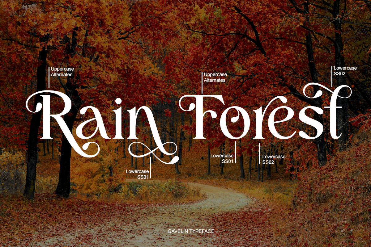 Gavelin - Luxury Serif Font