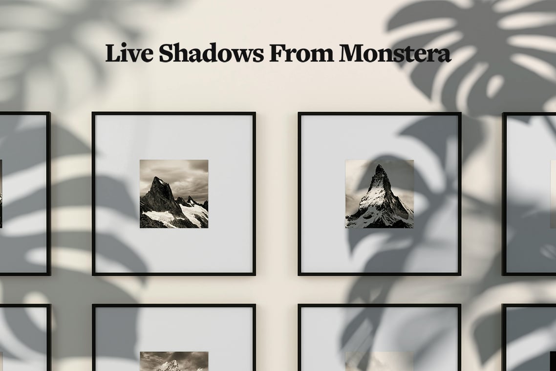 Plant Shadow Backdrops Video Bundle