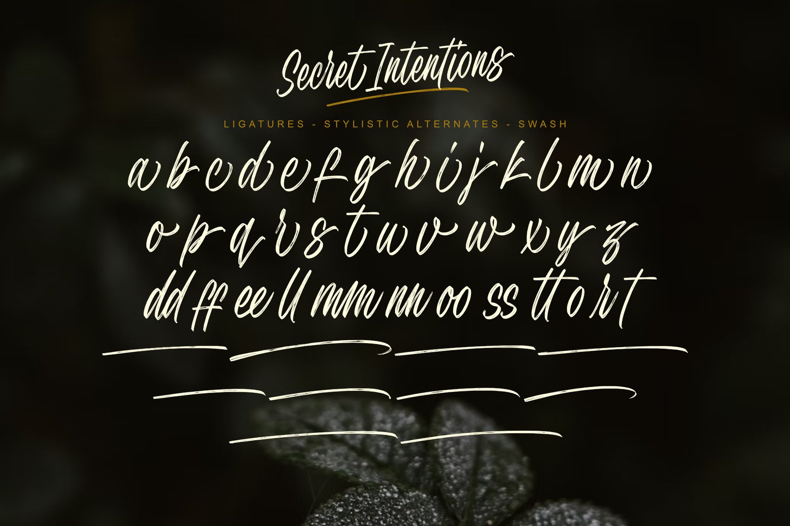 Secret Intentions Font