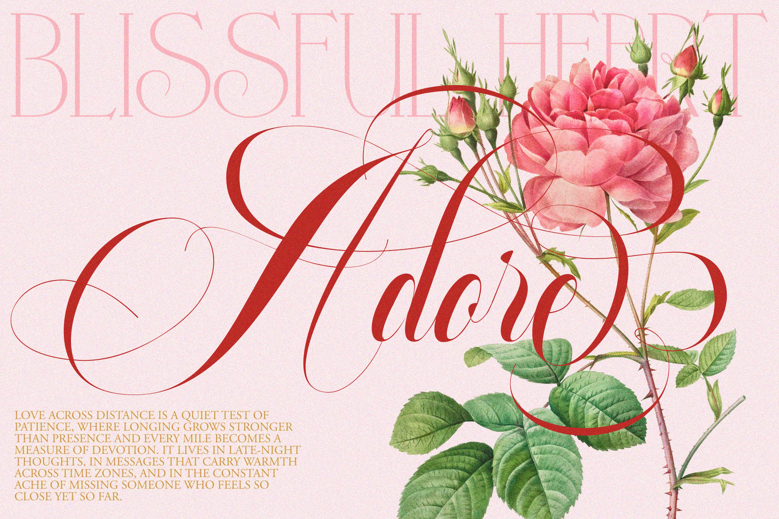 Glowing Romance — Elegant Script Calligraphy Font