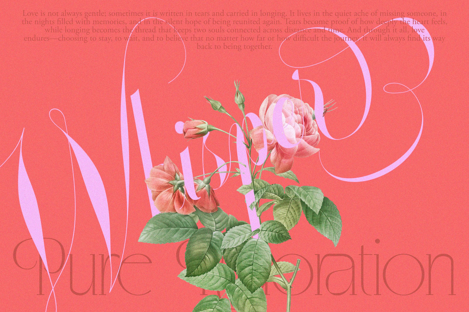 Glowing Romance — Elegant Script Calligraphy Font