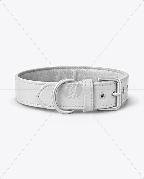 Leather Dog Collar Mockup
