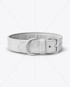 Leather Dog Collar Mockup