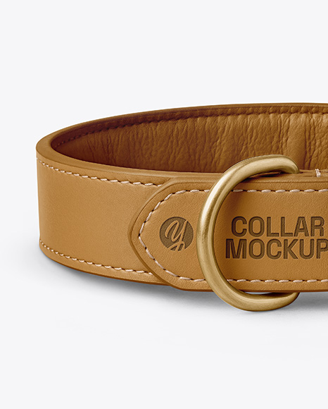 Leather Dog Collar Mockup