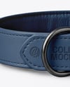 Leather Dog Collar Mockup