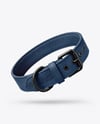 Leather Dog Collar Mockup