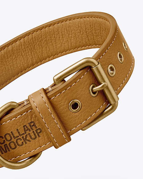 Leather Dog Collar Mockup