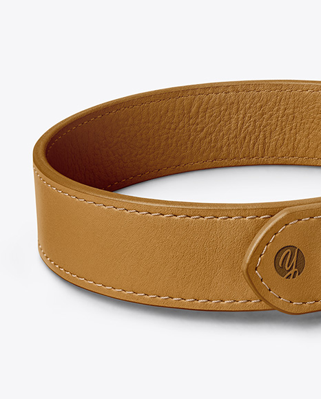 Leather Dog Collar Mockup