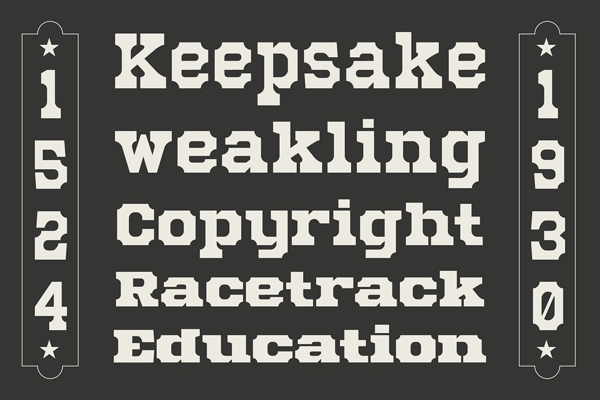 Mechwerk – Slab Serif Family