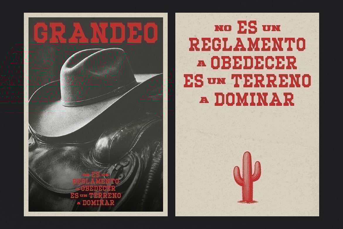 Mechwerk – Slab Serif Family