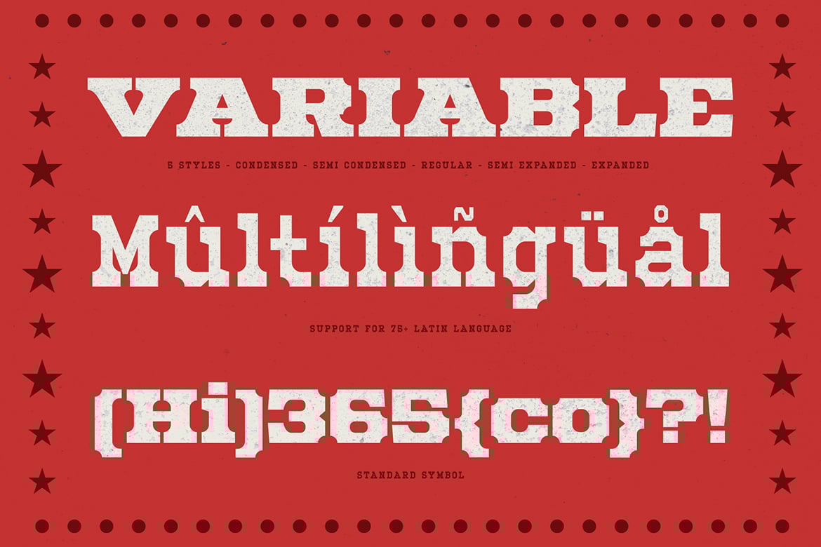 Mechwerk – Slab Serif Family