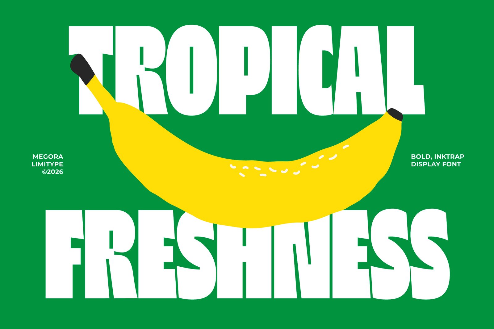 Megora - Bold Inktrap Font