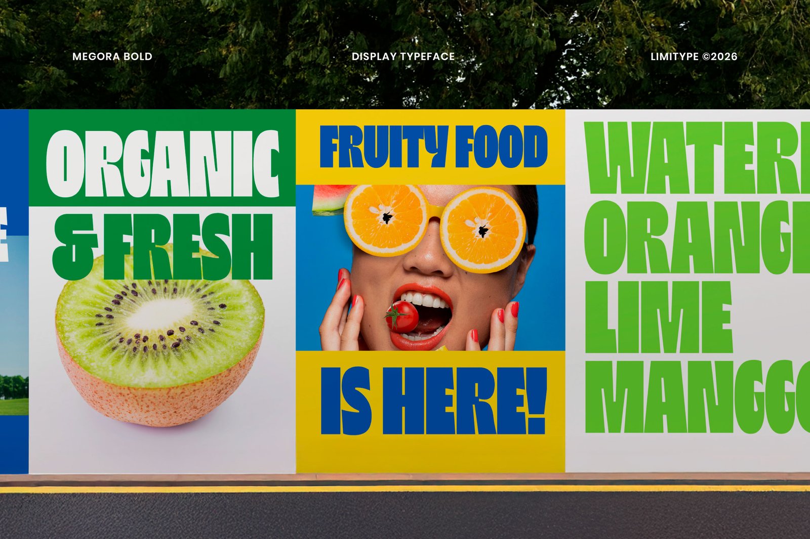 Megora - Bold Inktrap Font