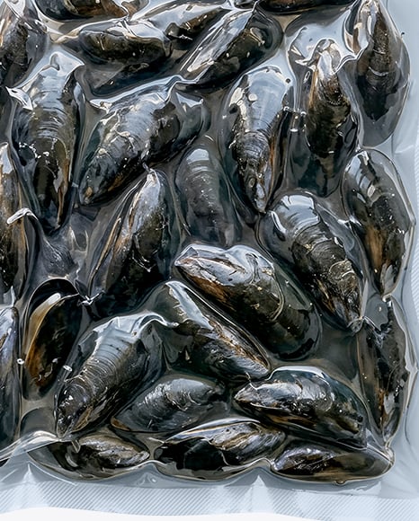 Vacuum Packaging with Mussels Mockup
