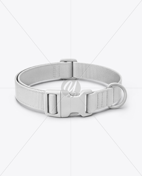 Nylon Dog Collar Mockup