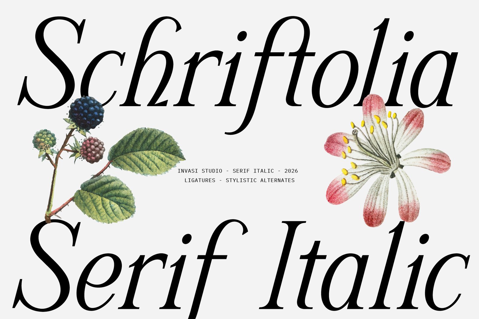 Schriftolia — Elegant Serif Italic