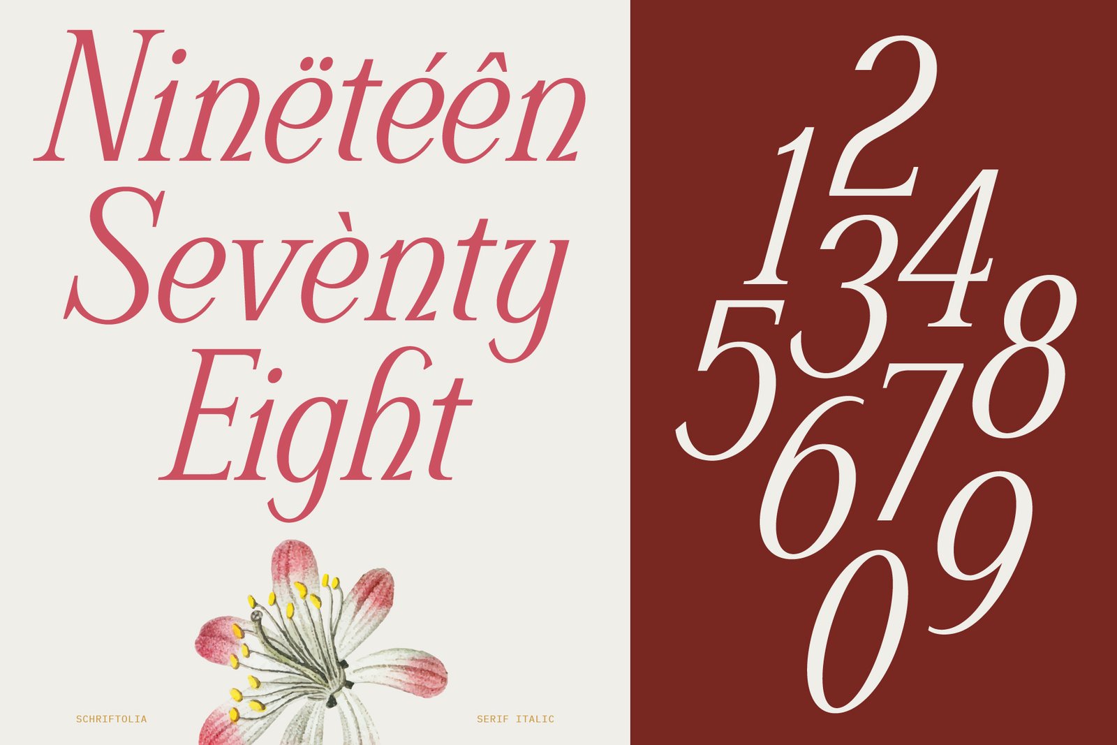 Schriftolia — Elegant Serif Italic