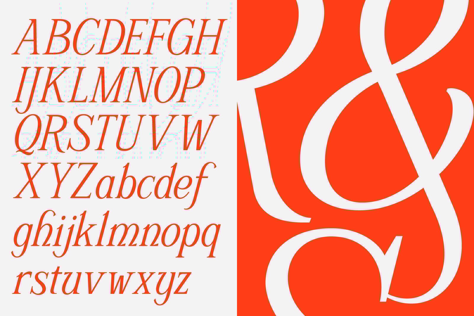 Schriftolia — Elegant Serif Italic