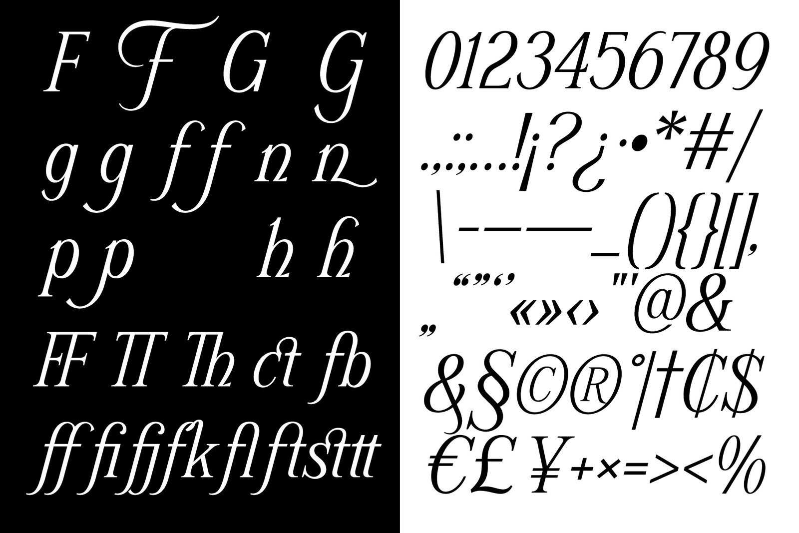 Schriftolia — Elegant Serif Italic