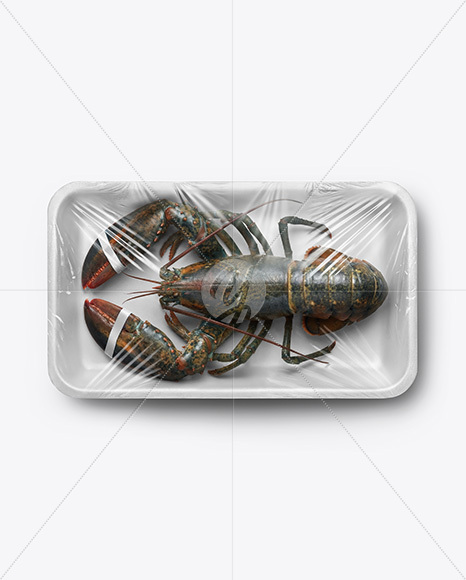 Tray With Lobster Mockup