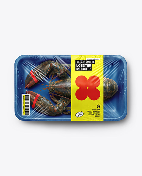 Tray With Lobster Mockup