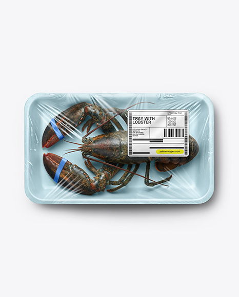Tray With Lobster Mockup