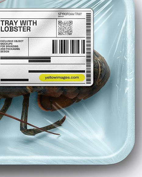 Tray With Lobster Mockup